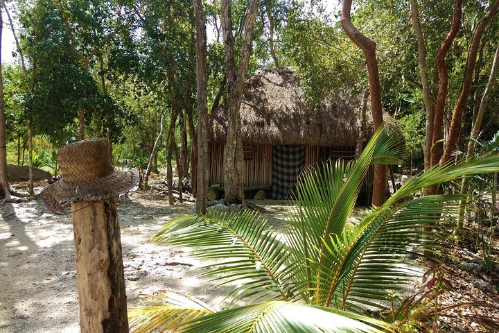 Day Trip To Tulum and Coba Ruins Including Cenote Swim and Lunch from Cancun Day Trip To Tulum and Coba Ruins Including Cenote Swim and Lunch from Cancun