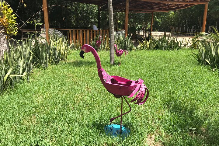 Horseback Riding in Cancun Includes ATV, Cenote, Ziplines, Lunch and Transfer Horseback Riding in Cancun Includes ATV, Cenote, Ziplines, Lunch and Transfer