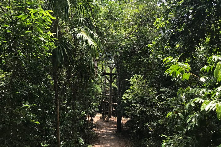 Horseback Riding in Cancun Includes ATV, Cenote, Ziplines, Lunch and Transfer Horseback Riding in Cancun Includes ATV, Cenote, Ziplines, Lunch and Transfer