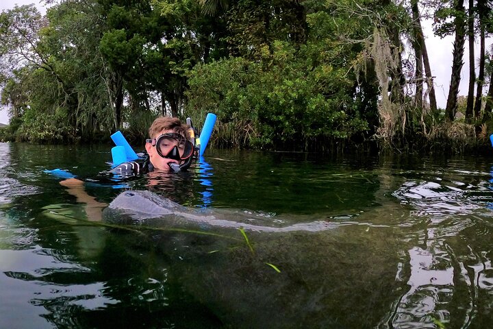 Florida Manatee Adventure, Everglades Style Airboat, Wildlife Park & Transport Florida Manatee Adventure, Everglades Style Airboat, Wildlife Park & Transport