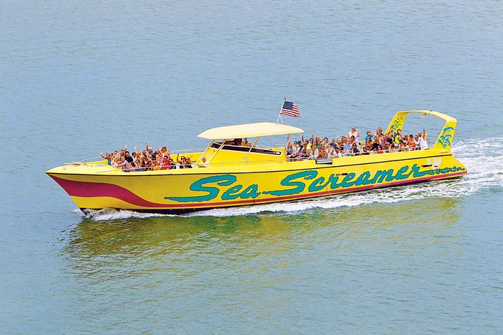 Clearwater Beach Day Trip from Orlando with Optional Upgrades Clearwater Beach Day Trip from Orlando with Optional Upgrades