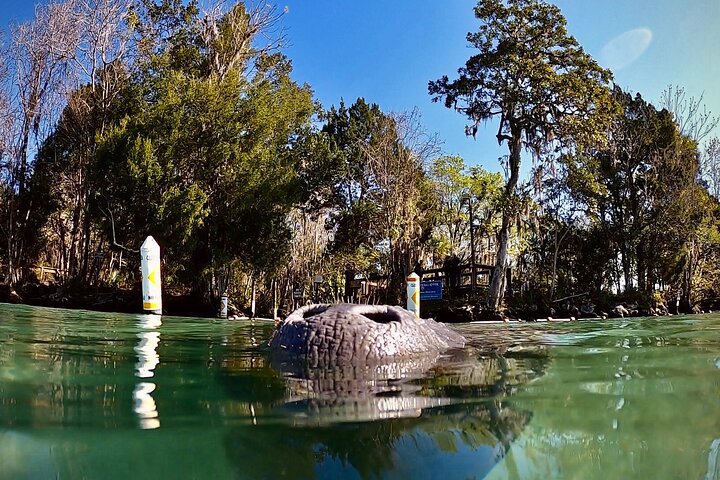 Florida Manatee Adventure, Everglades Style Airboat, Wildlife Park & Transport Florida Manatee Adventure, Everglades Style Airboat, Wildlife Park & Transport