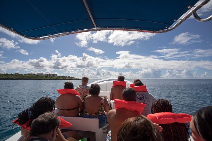 Saona Island Day Trip From Punta Cana
