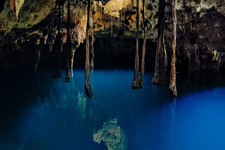 Tour Cenotes Oasis Maya by Xcaret from Cancún and Playa del Carmen