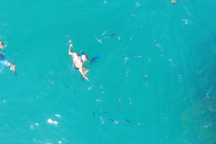 Snorkeling Tour in Cabo San Lucas
