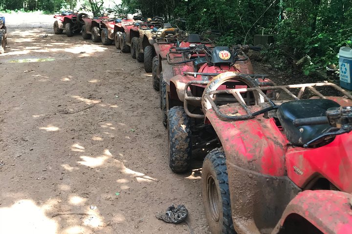 Best ATV Tour, Five Ziplines and Cenote Swim with Lunch and Transport Included 
