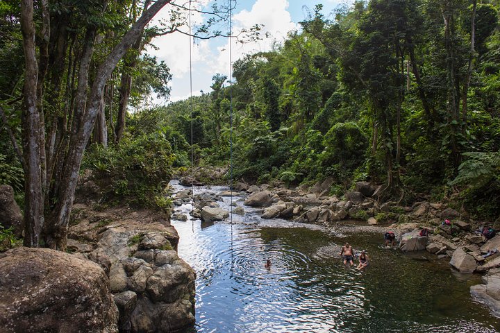 El Yunque Rainforest Off the Beaten Path and Bio Bay Kayaking Combo Tour