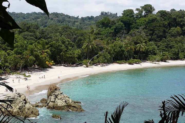 Manuel Antonio National Park Sightseeing and Wildlife Day Tour from San Jose