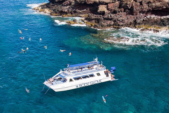 Snorkel & Dolphin Watch Adventure Aboard Luxury Catamaran