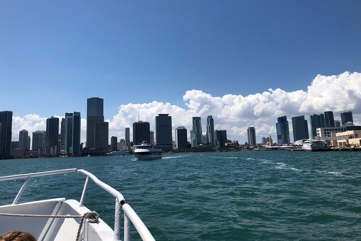 Miami Combo Tour: City Sightseeing, Biscayne Bay Cruise and Everglades Airboat Ride