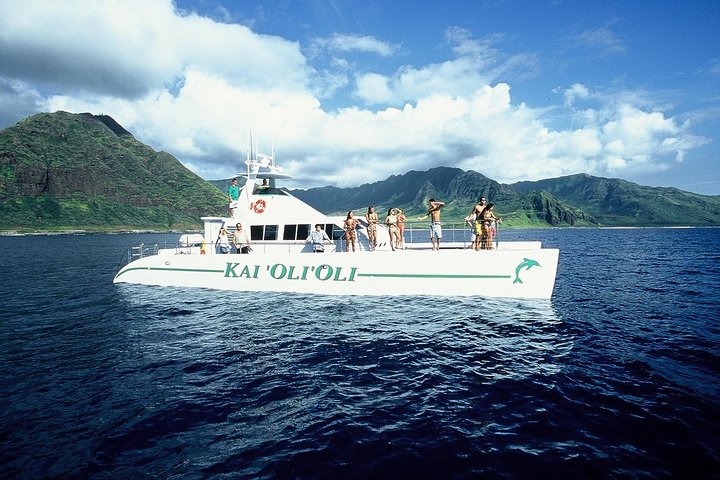 Oahu Catamaran Cruise: Wildlife, Snorkeling and Hawaiian Buffet
